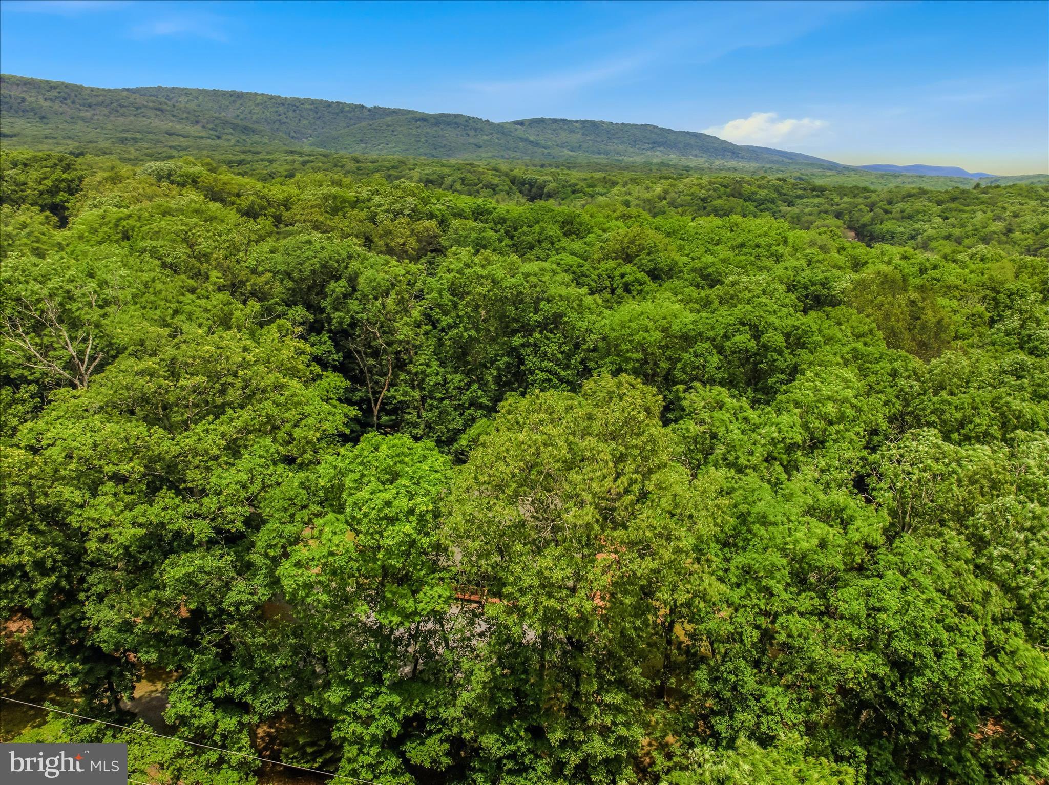 956 SIDELING MOUNTAIN TRAIL