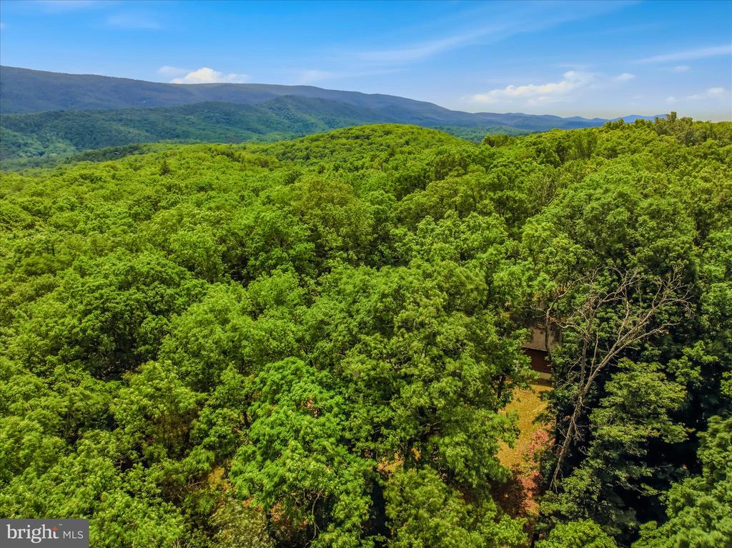 956 SIDELING MOUNTAIN TRAIL