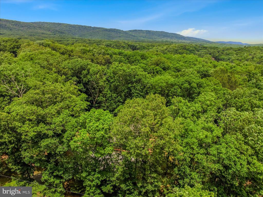 956 SIDELING MOUNTAIN TRAIL