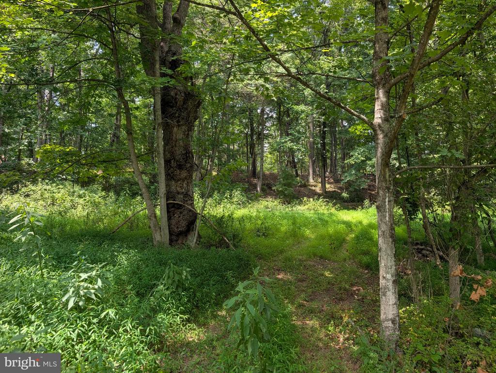 SIR JOHNS RUN ROAD