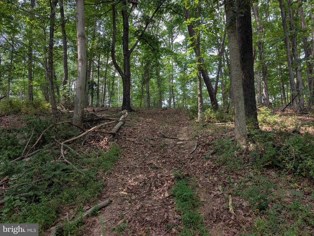 SIR JOHNS RUN ROAD