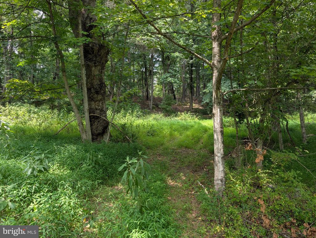SIR JOHNS RUN ROAD