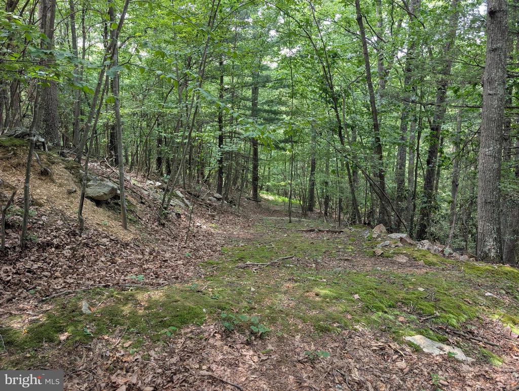 SIR JOHNS RUN ROAD