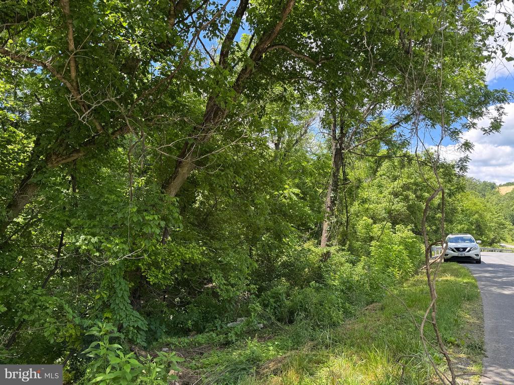 SAND MINE ROAD BY CREEK