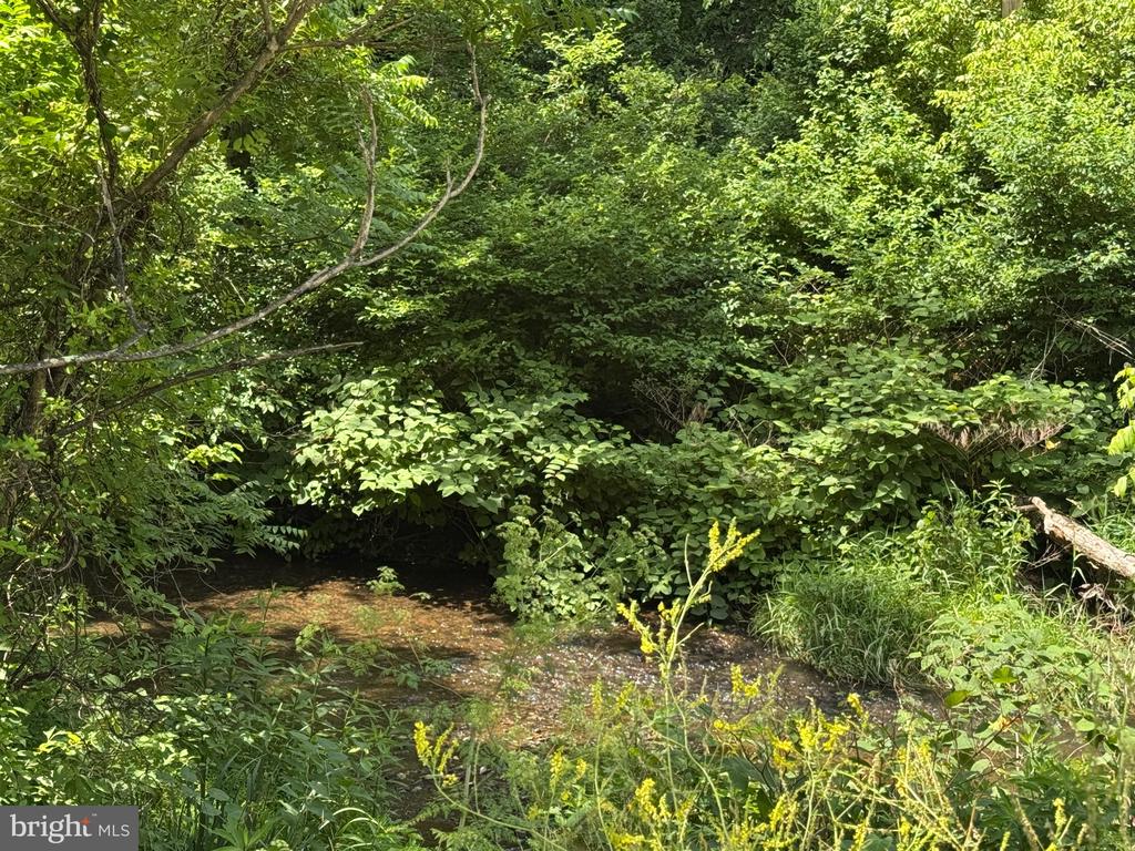 SAND MINE ROAD BY CREEK