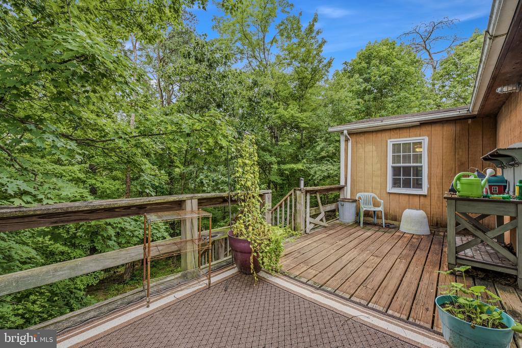602 PLUM TREE LANE