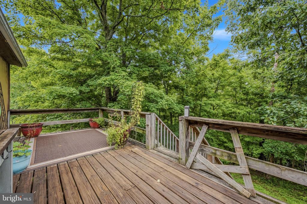 602 PLUM TREE LANE