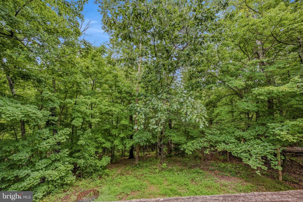602 PLUM TREE LANE