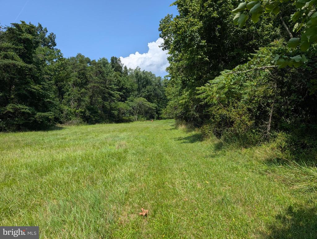 GRASSHOPPER HOLLOW TRAIL Unit: WEST P/O PAR 31