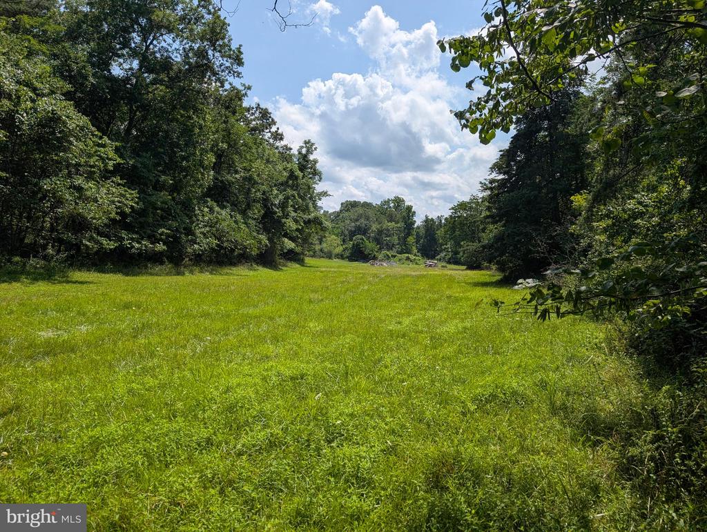 GRASSHOPPER HOLLOW TRAIL Unit: WEST P/O PAR 31