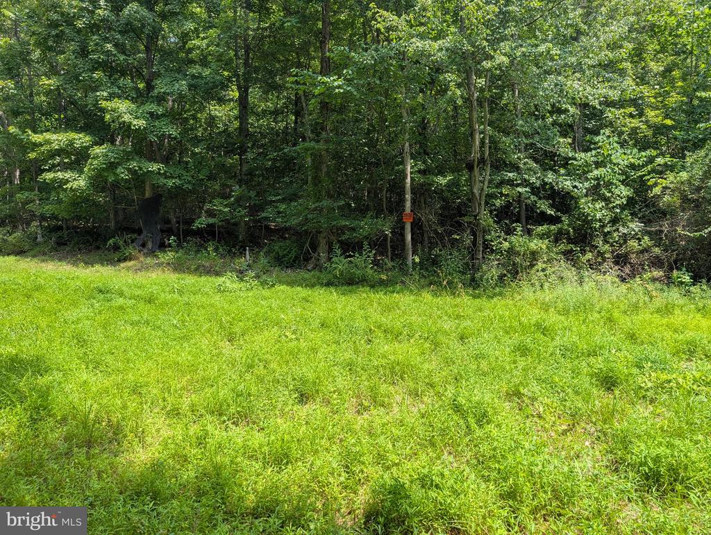 GRASSHOPPER HOLLOW/SIR JOHN'S RUN Unit: P/O PAR 32