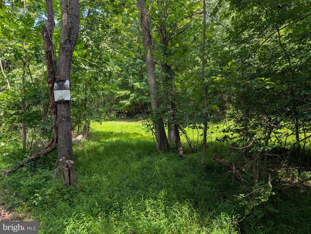 GRASSHOPPER HOLLOW/SIR JOHN'S RUN Unit: P/O PAR 32