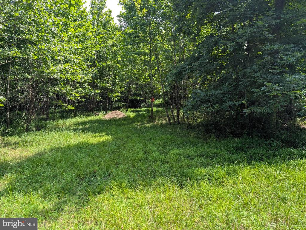 GRASSHOPPER HOLLOW/SIR JOHN'S RUN Unit: P/O PAR 32