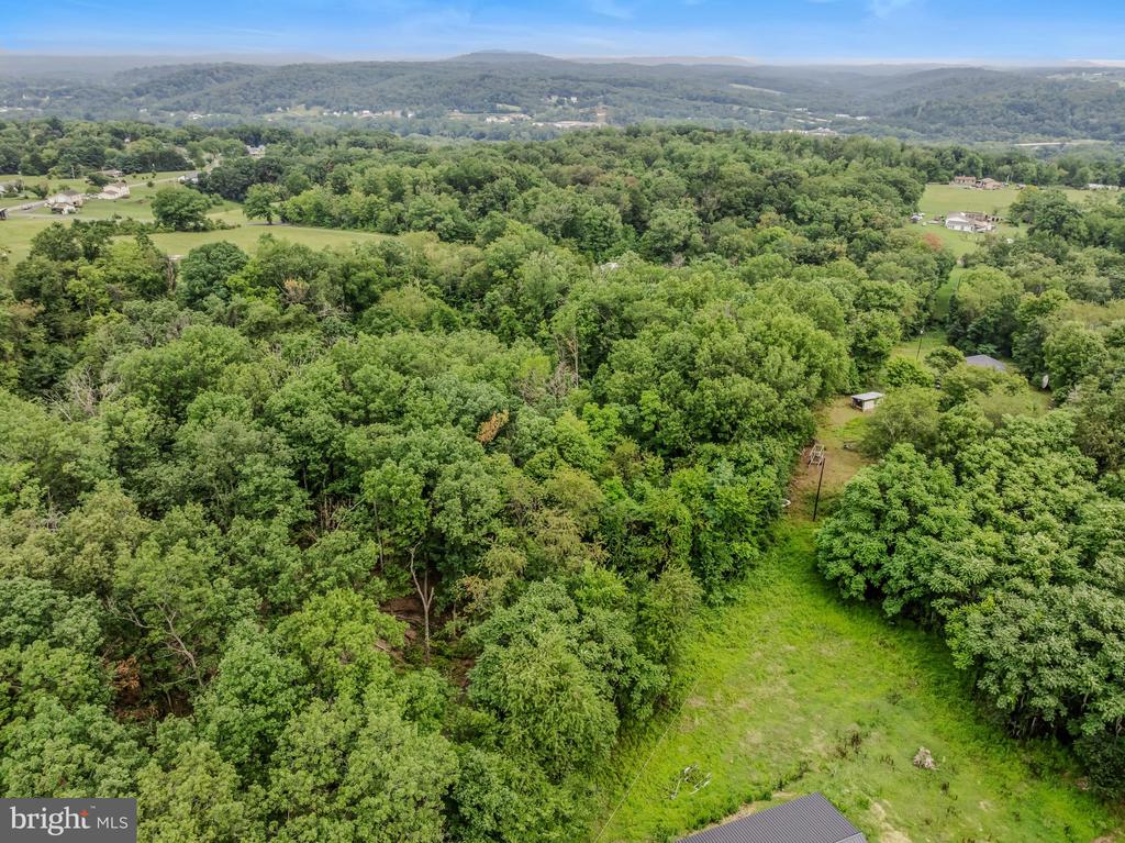 175 PHEASANT LANE