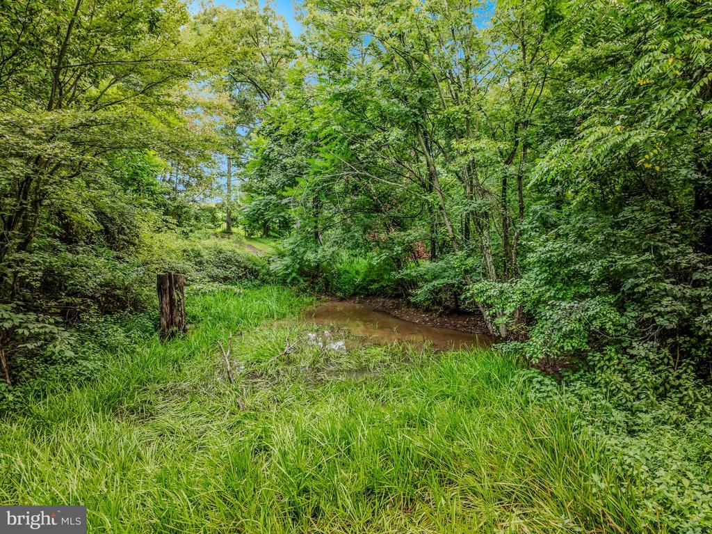 175 PHEASANT LANE