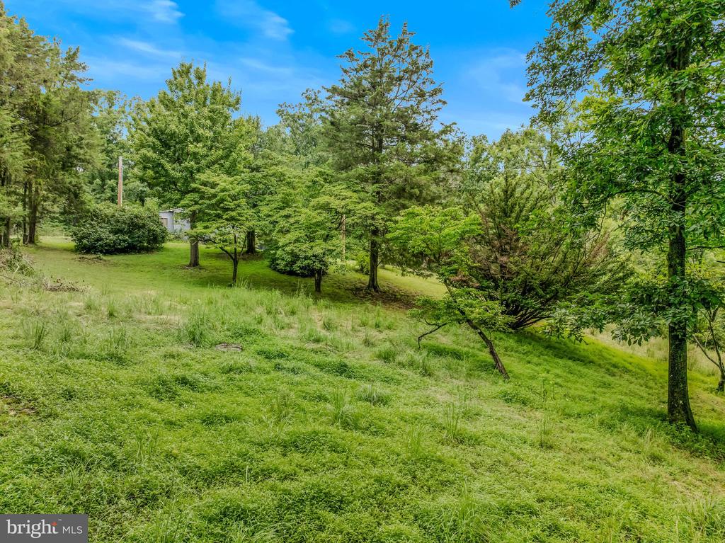 175 PHEASANT LANE
