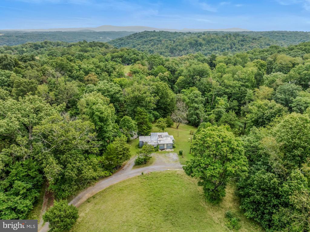 175 PHEASANT LANE
