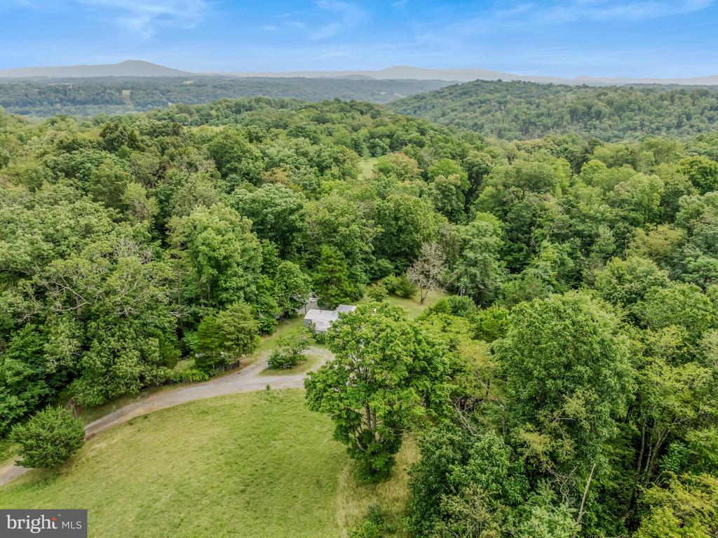 175 PHEASANT LANE