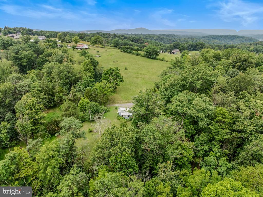 175 PHEASANT LANE
