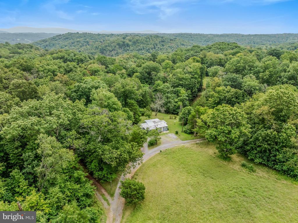 175 PHEASANT LANE