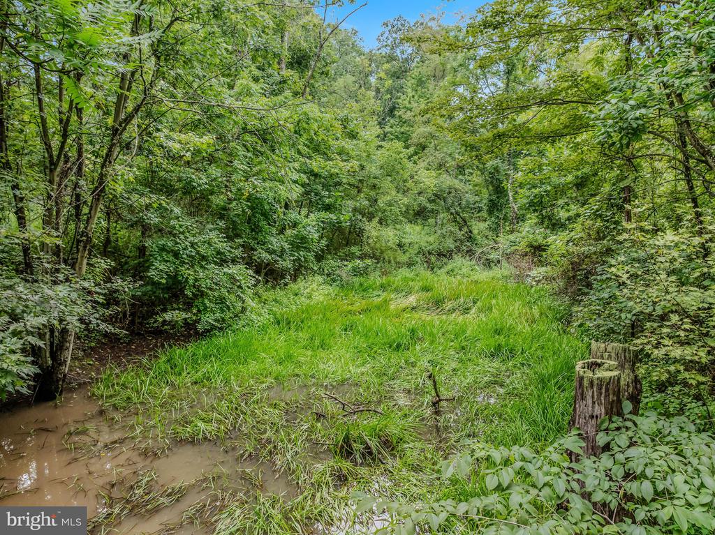 175 PHEASANT LANE