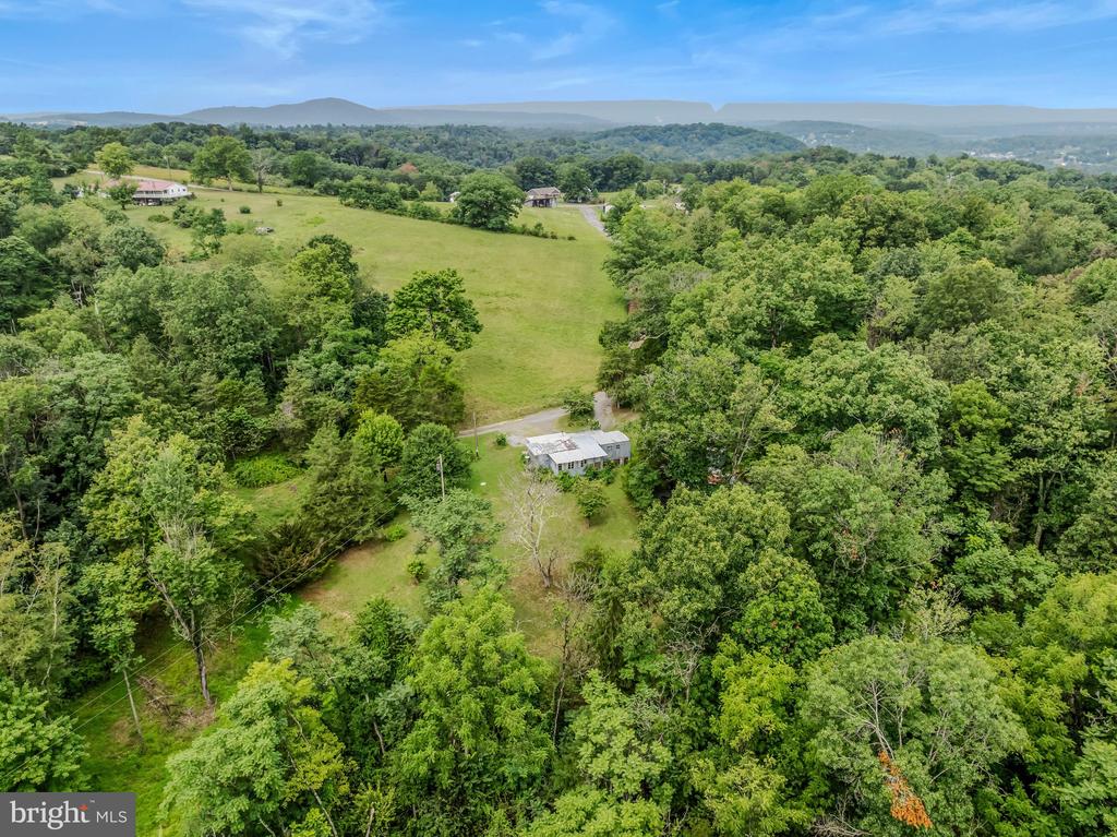 175 PHEASANT LANE