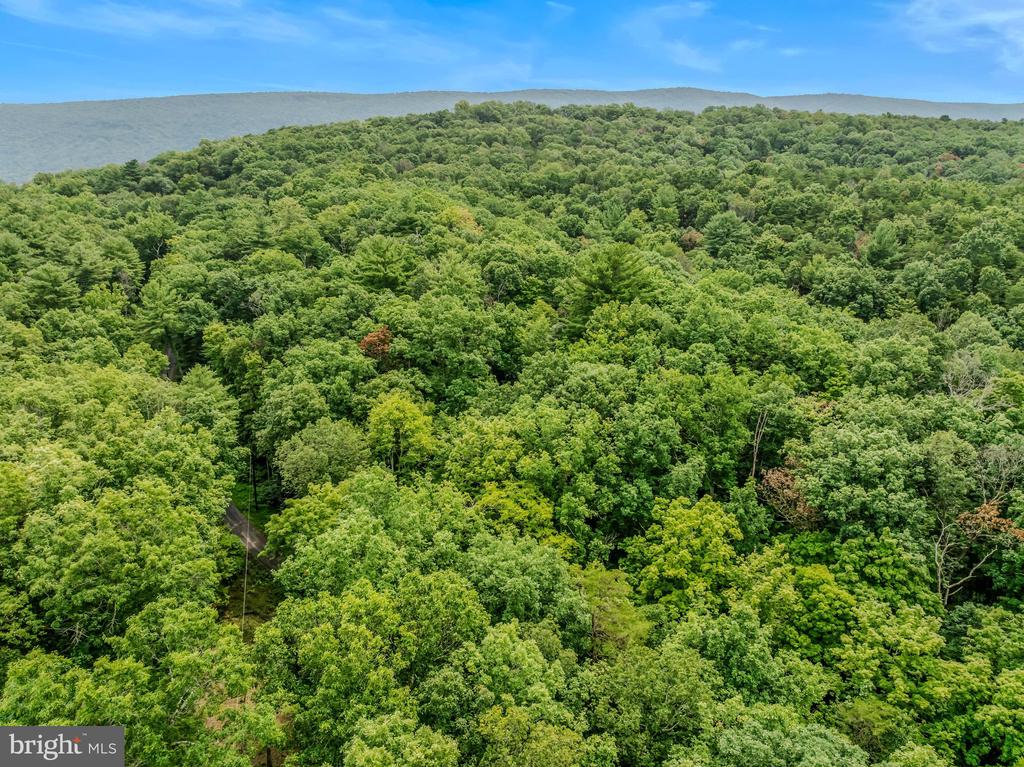 CACAPON RETREAT LANE