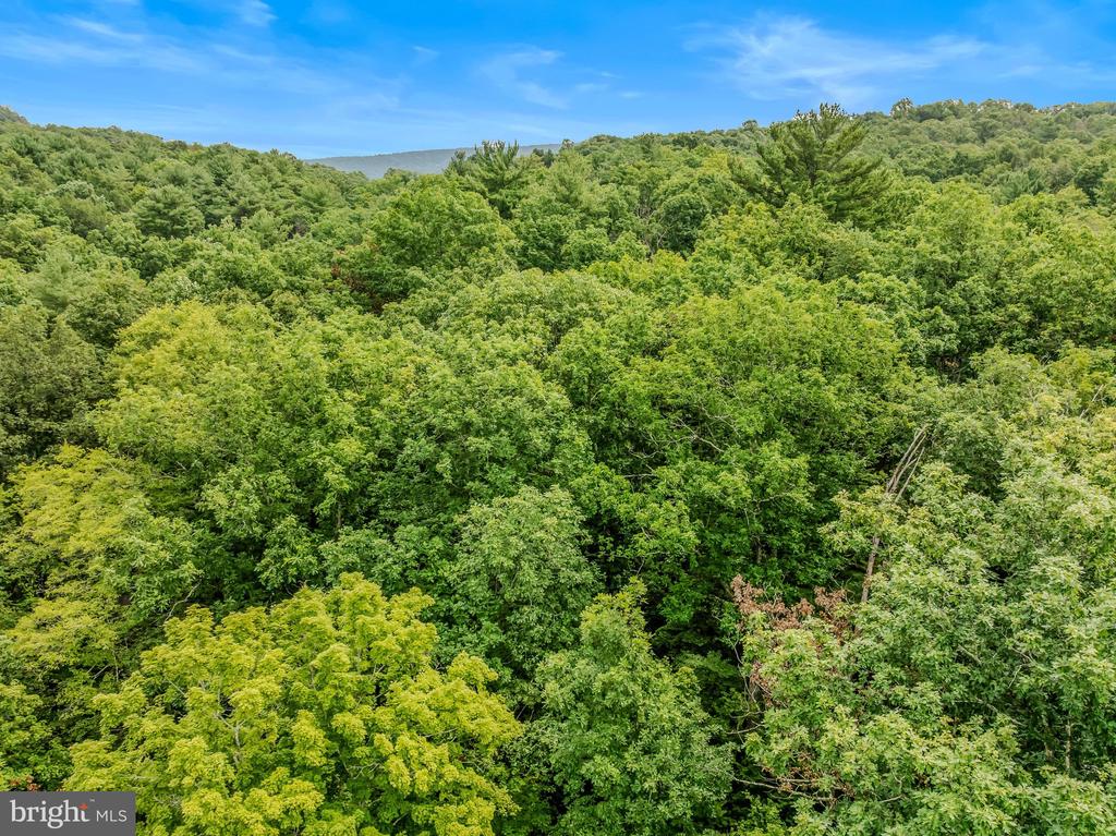 CACAPON RETREAT LANE