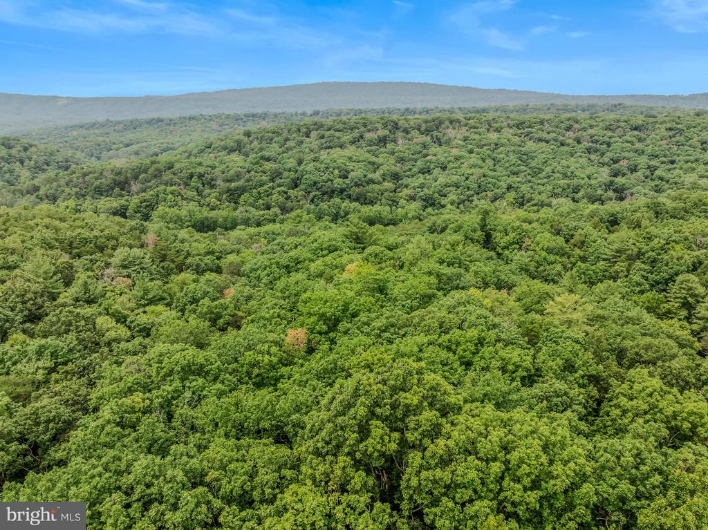 CACAPON RETREAT LANE