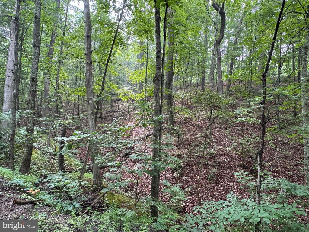 CACAPON RETREAT LANE