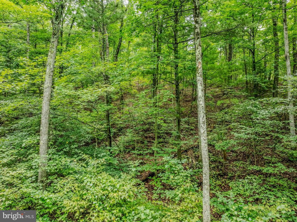 CACAPON RETREAT LANE
