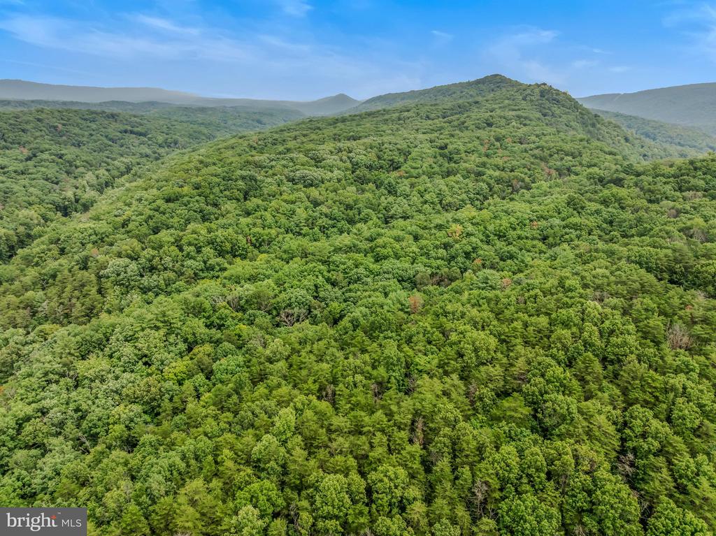 CACAPON RETREAT LANE