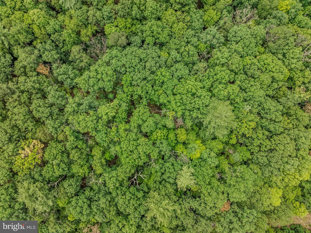CACAPON RETREAT LANE