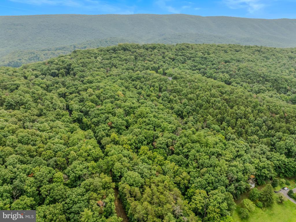 CACAPON RETREAT LANE