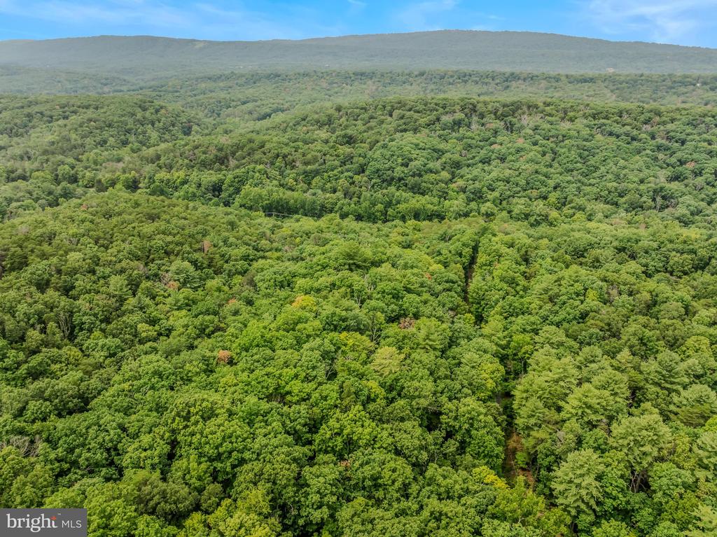 CACAPON RETREAT LANE