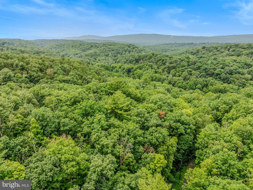 CACAPON RETREAT LANE