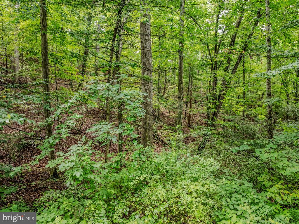 CACAPON RETREAT LANE