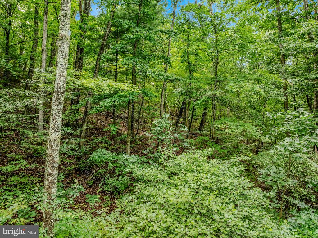 CACAPON RETREAT LANE