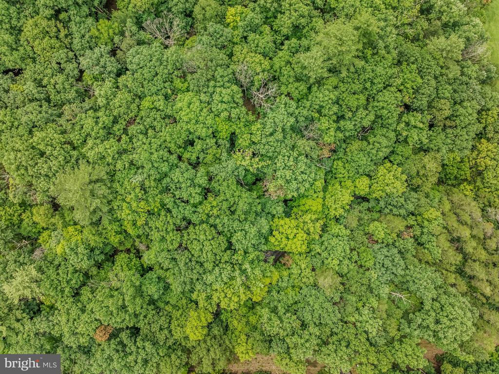 CACAPON RETREAT LANE