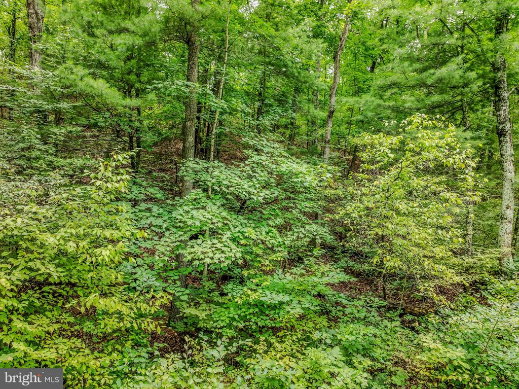 CACAPON RETREAT LANE