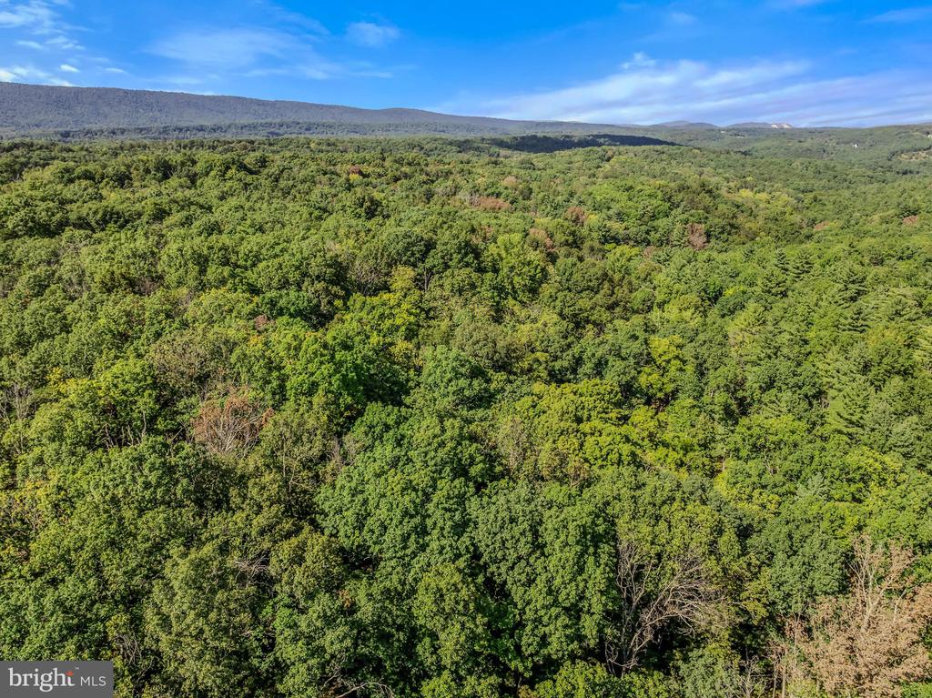 258 HUNGARIA ROAD