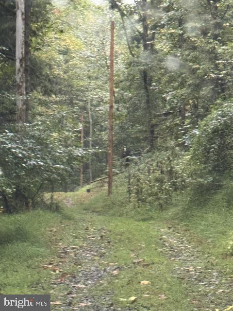 DENVER TRAIL