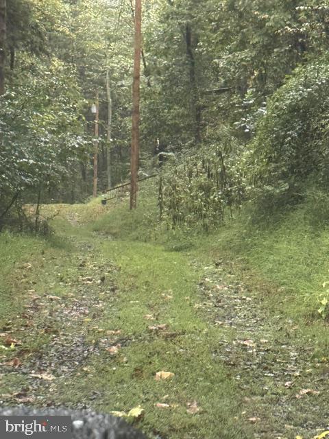 DENVER TRAIL
