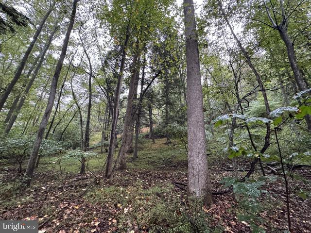 DENVER TRAIL