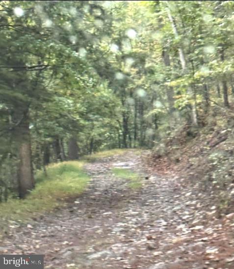 DENVER TRAIL
