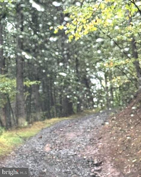 DENVER TRAIL
