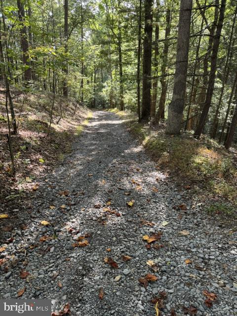 DENVER TRAIL