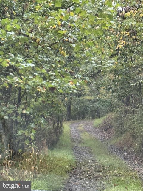 DENVER TRAIL