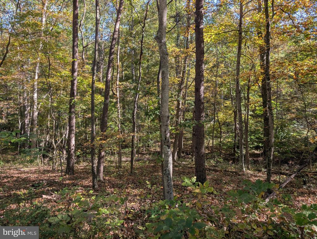GRASSHOPPER HOLLOW/SIR JOHN'S RUN Unit: P/O PAR 32