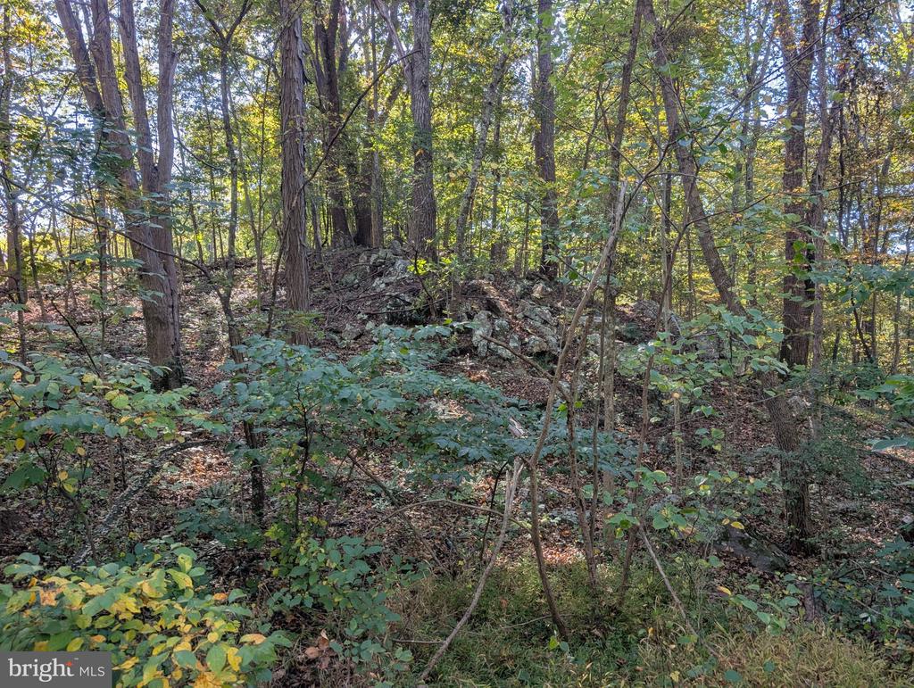 GRASSHOPPER HOLLOW/SIR JOHN'S RUN Unit: P/O PAR 32